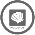 Moluscos (14)