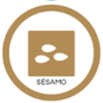 Granos de sésamo (10)